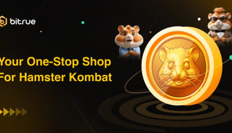 Hamster Kombat (HMSTR) Airdrop – The Biggest Web3 Success Story of 2024